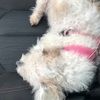 roxy531261